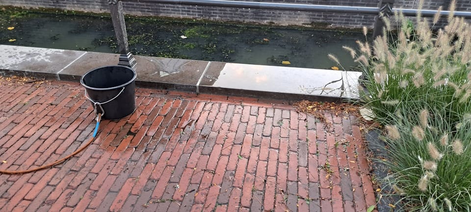 Schone magneetvisplek
